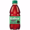 Radnor Fizz 330ml x 24