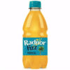Radnor Fizz 330ml x 24