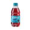 Radnor fizz forest Radnor Fizz 330ml x 24