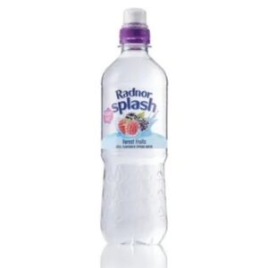 Radnor Splash Still Flavoured Water 500ml x 24