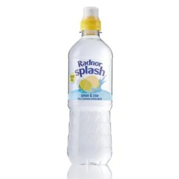 Radnor Splash Still Flavoured Water 500ml x 24