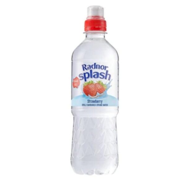 Radnor Splash Still Flavoured Water 500ml x 24
